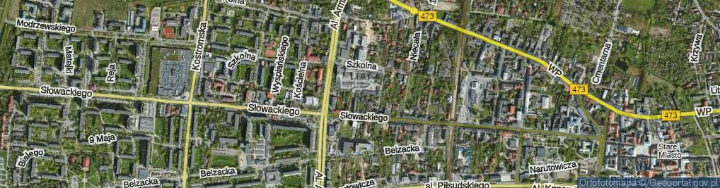 Zdjęcie satelitarne Przyszła ul.